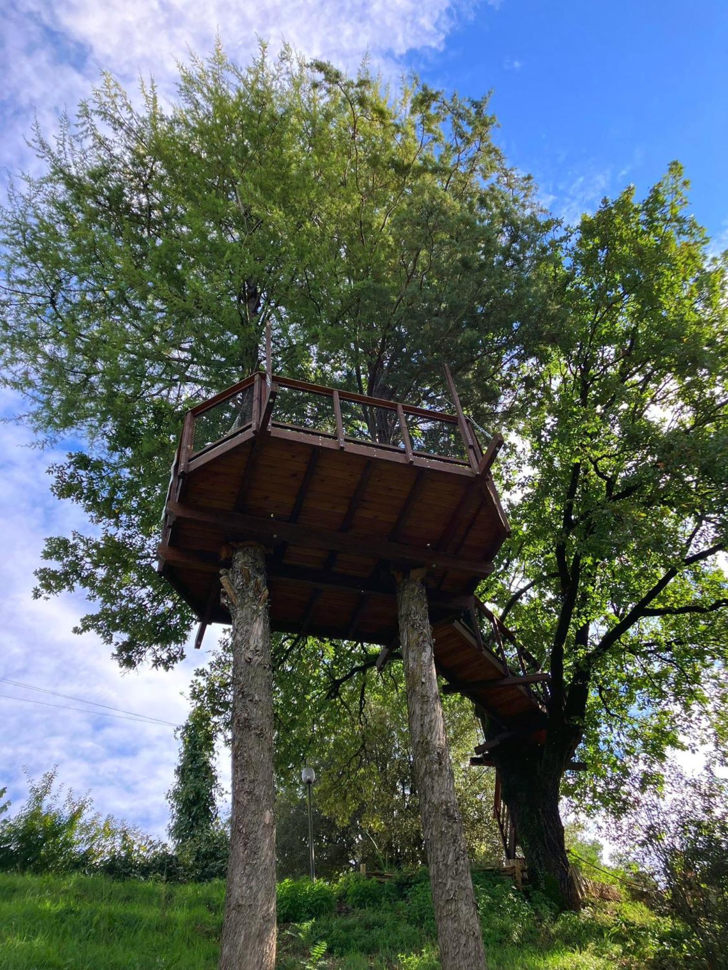 B&B Colle Di Terria Country House 康蒂利亚诺 外观 照片
