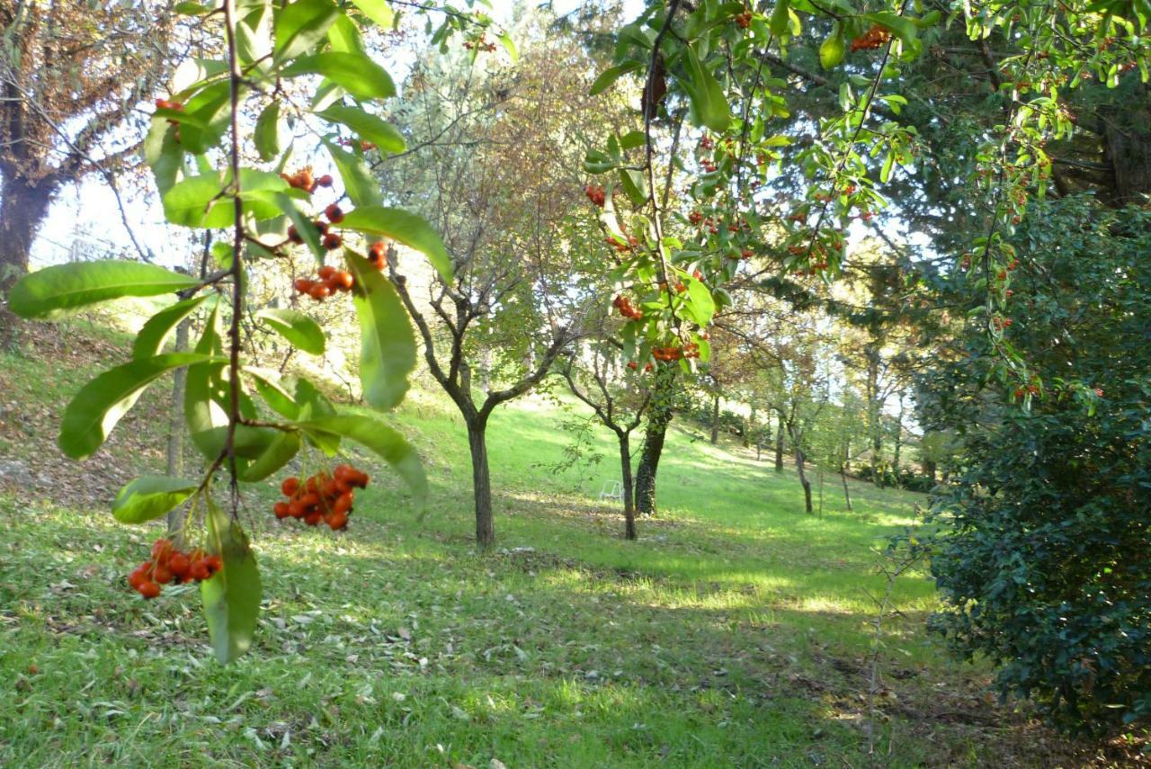 B&B Colle Di Terria Country House 康蒂利亚诺 外观 照片